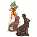 Conejo chocolate 2