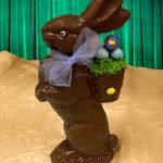 Conejo chocolate 3
